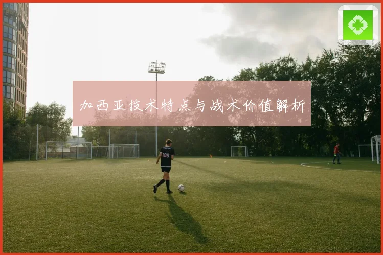 加西亚技术特点与战术价值解析