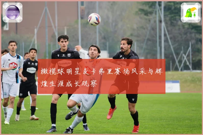 橄榄球明星麦卡弗里赛场风采与辉煌生涯成长观察