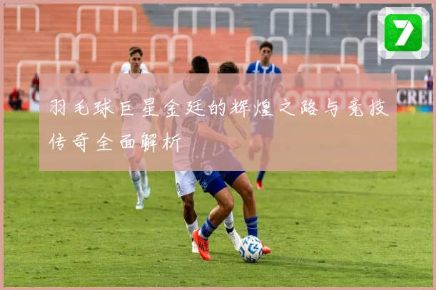 羽毛球巨星金廷的辉煌之路与竞技传奇全面解析