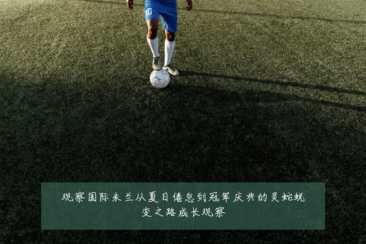 观察国际米兰从夏日倦怠到冠军庆典的灵蛇蜕变之路成长观察