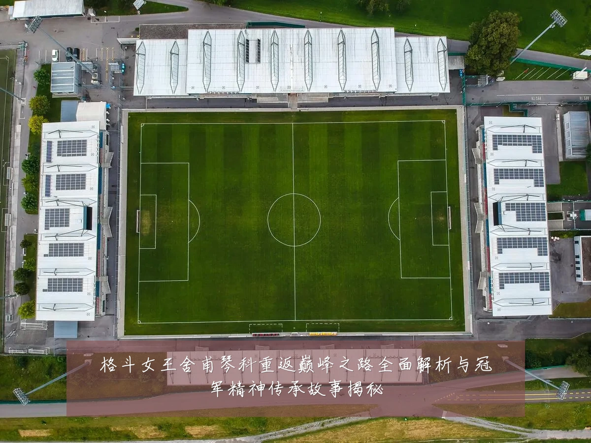 格斗女王舍甫琴科重返巅峰之路全面解析与冠军精神传承故事揭秘